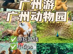 -广州动物园