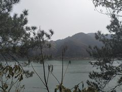 -羚羊峡古栈道森林公园