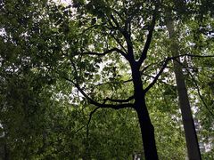 -成都市活水公园