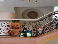 -喜柴咖啡·柴犬狗咖