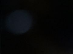 -蓝湾碧波·老字号·疍家非遗海上餐厅