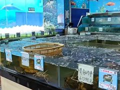 -小海豚•老字号海鲜餐厅(天涯店)