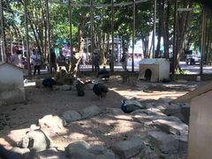 -东部华侨城