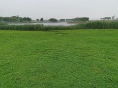 -合肥滨湖国家森林公园