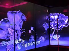 -纯K(打浦桥店)