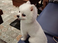 -北京SKP