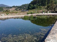 -福建土楼（华安）旅游区•大地土楼群