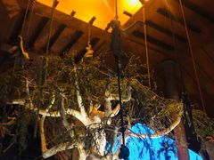 -清迈夜间动物园