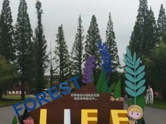 -黄海国家森林公园