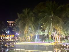 -海南椰子鸡餐厅(三亚湾红树林店)