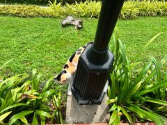 -老伴豆花(麦士威熟食中心店)