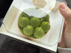 抹茶挞-猫里有甜