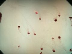 -沈阳海洋探索中心