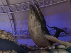 -烟台海昌鲸鲨海洋公园