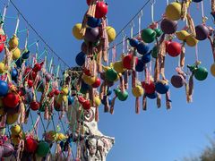 -西双版纳原始森林公园