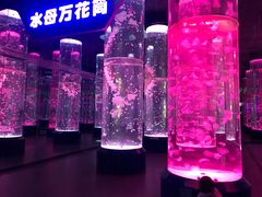 -海合安成都极地海洋公园