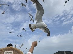 -海驴岛(荣成市)