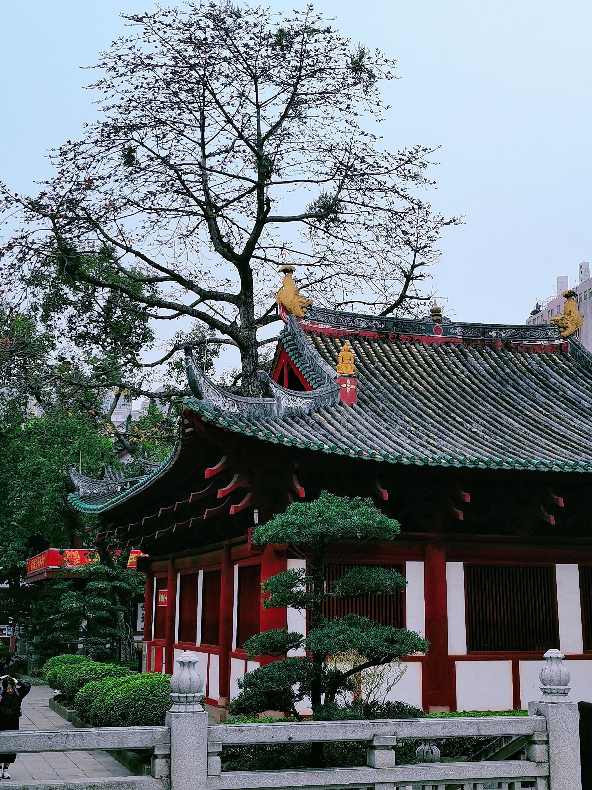 广州光孝寺|岭南第一古刹
