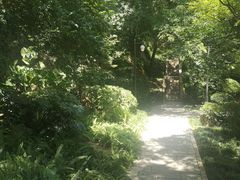 -乌山风景区