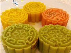 -重庆长寿碧桂园凤悦凤凰酒店