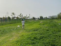 -菊园百果园