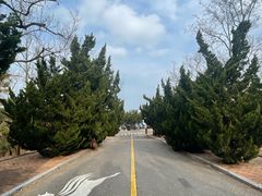 -养马岛旅游度假区