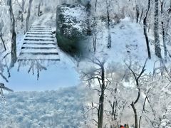 -大鹏饭店·金陵家宴(奥体中心店)