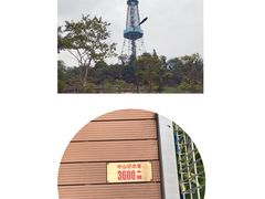 -广州雕塑公园