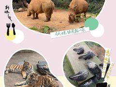 -云南野生动物园