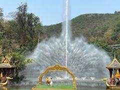 -西双版纳原始森林公园