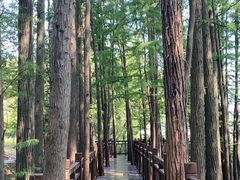 -东湖落雁景区