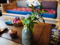 -松赞拉萨林卡酒店