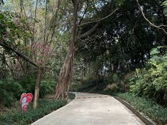 -南岗山公园