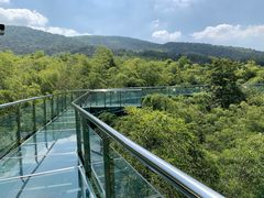 -陶祖圣境风景区