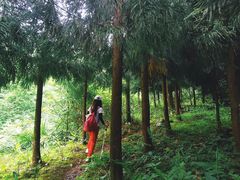 -西岭雪山大飞水景区