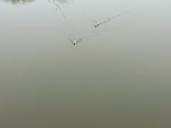 -木兰水镇旅游景区