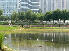 -保定东湖公园(莲池区)