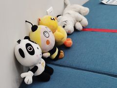-嘉悦丽格眼科(丰联广场店)