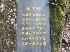 -炎陵县神农谷国家森林公园