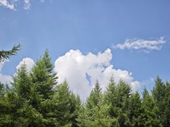 -苏木山森林公园