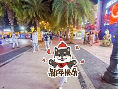 -三亚海昌梦幻海洋不夜城