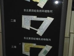 android_upload_pic-大庆市博物馆