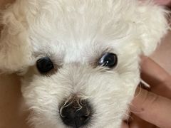 -中农国际动物医院24小时·猫科·骨科·急重症中心