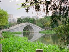 -映月湖公园