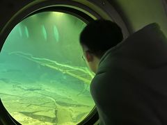 -白鹤梁水下博物馆