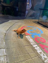 -酷嗒动物文化乐园(cutezoo西溪乐天城店)