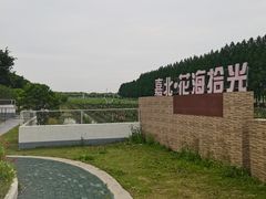 -嘉北郊野公园