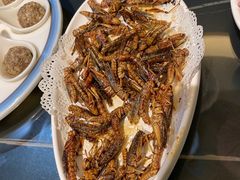 -野菌皇海景野生菌火锅(滨海大道店)