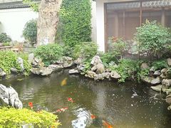 -鲤院·新中式美学·庭院餐厅(夫子庙店)