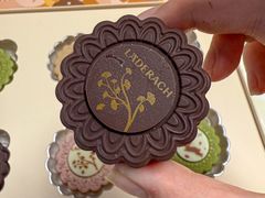 -Laderach 莱德拉(上海环贸iapm店)